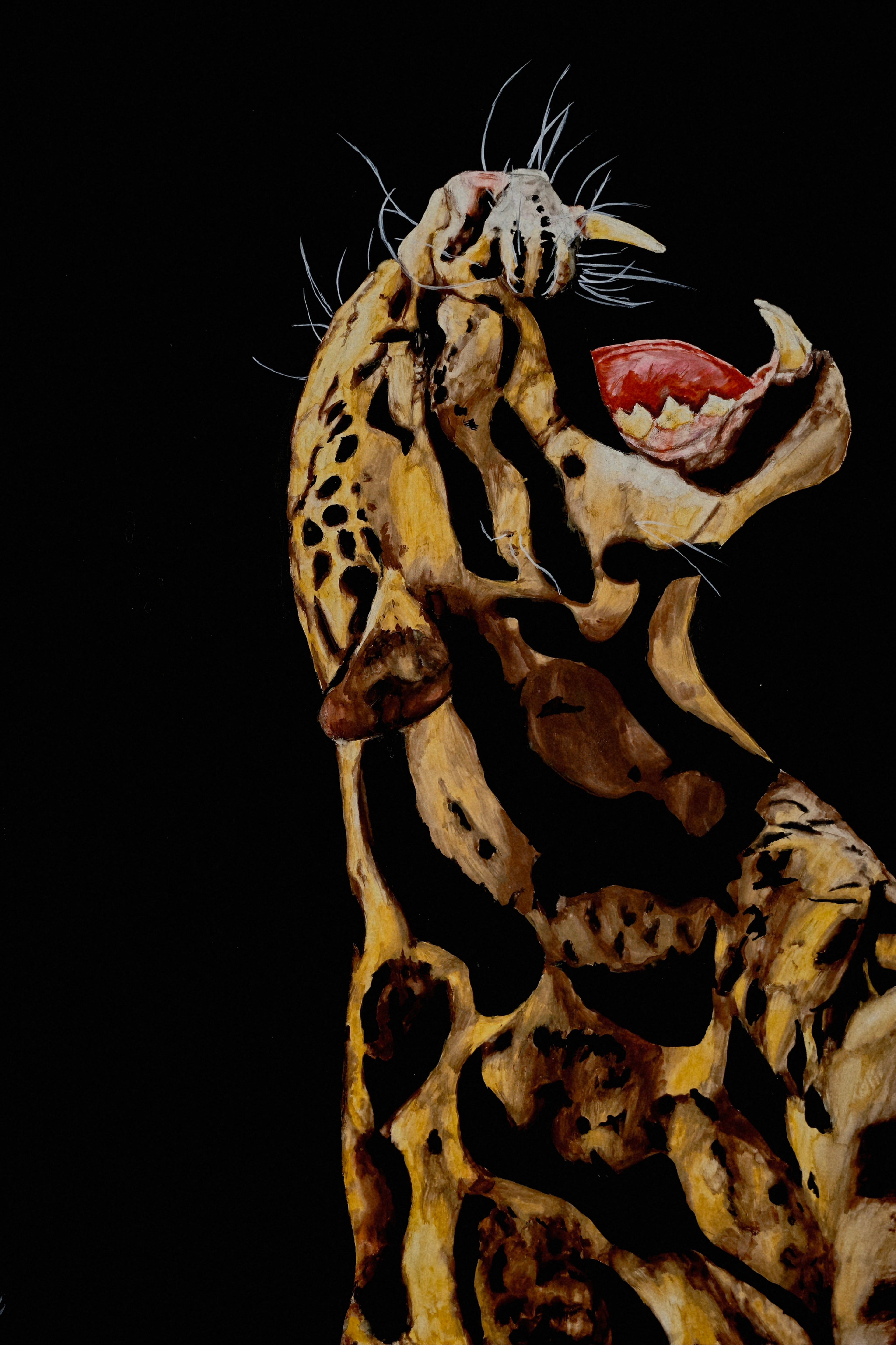 "Feline"