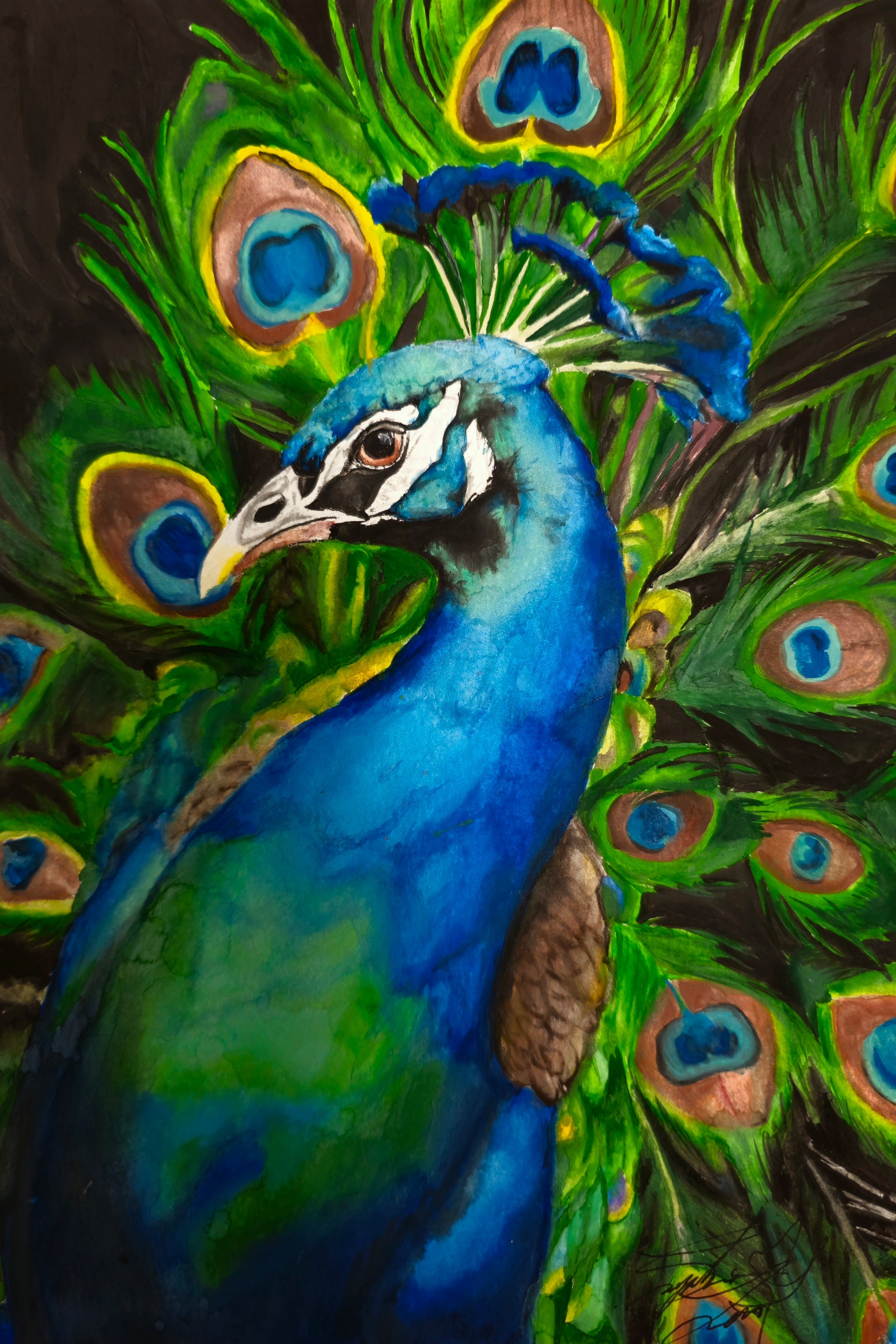 "Spectacle"