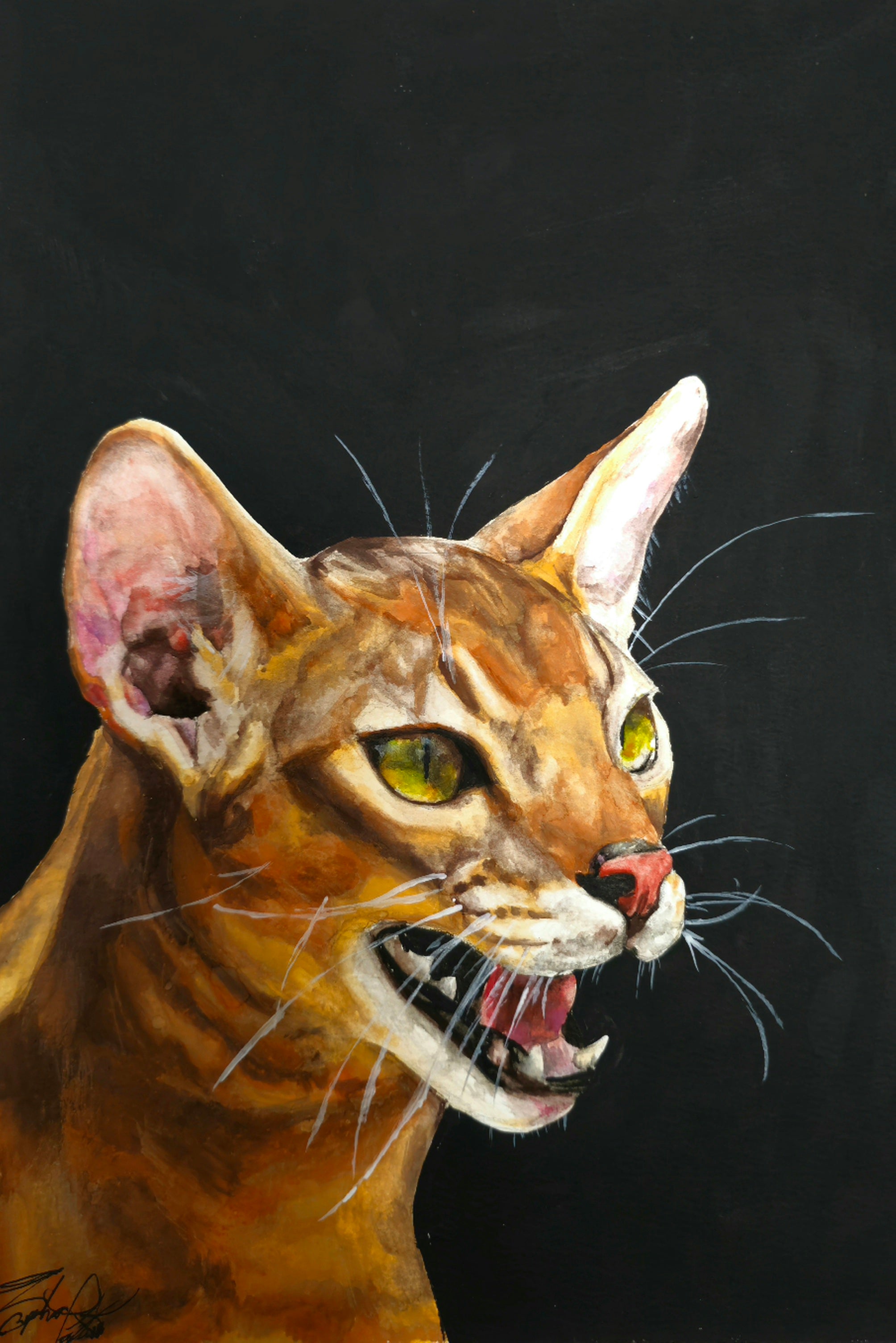"Vixen"