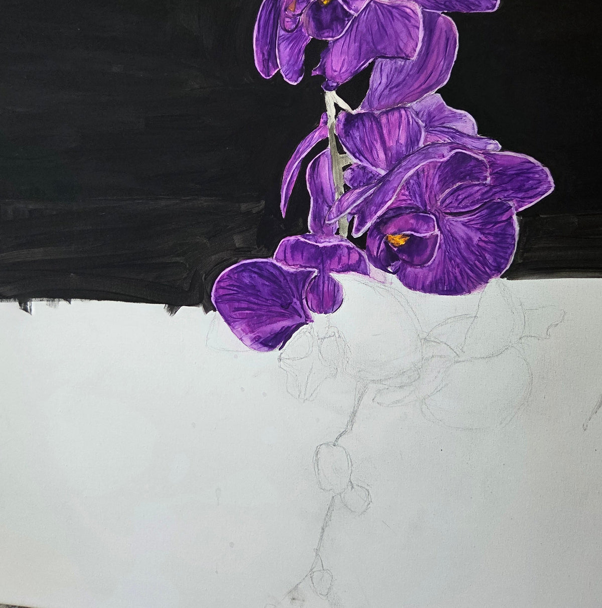 "Violent Visions"