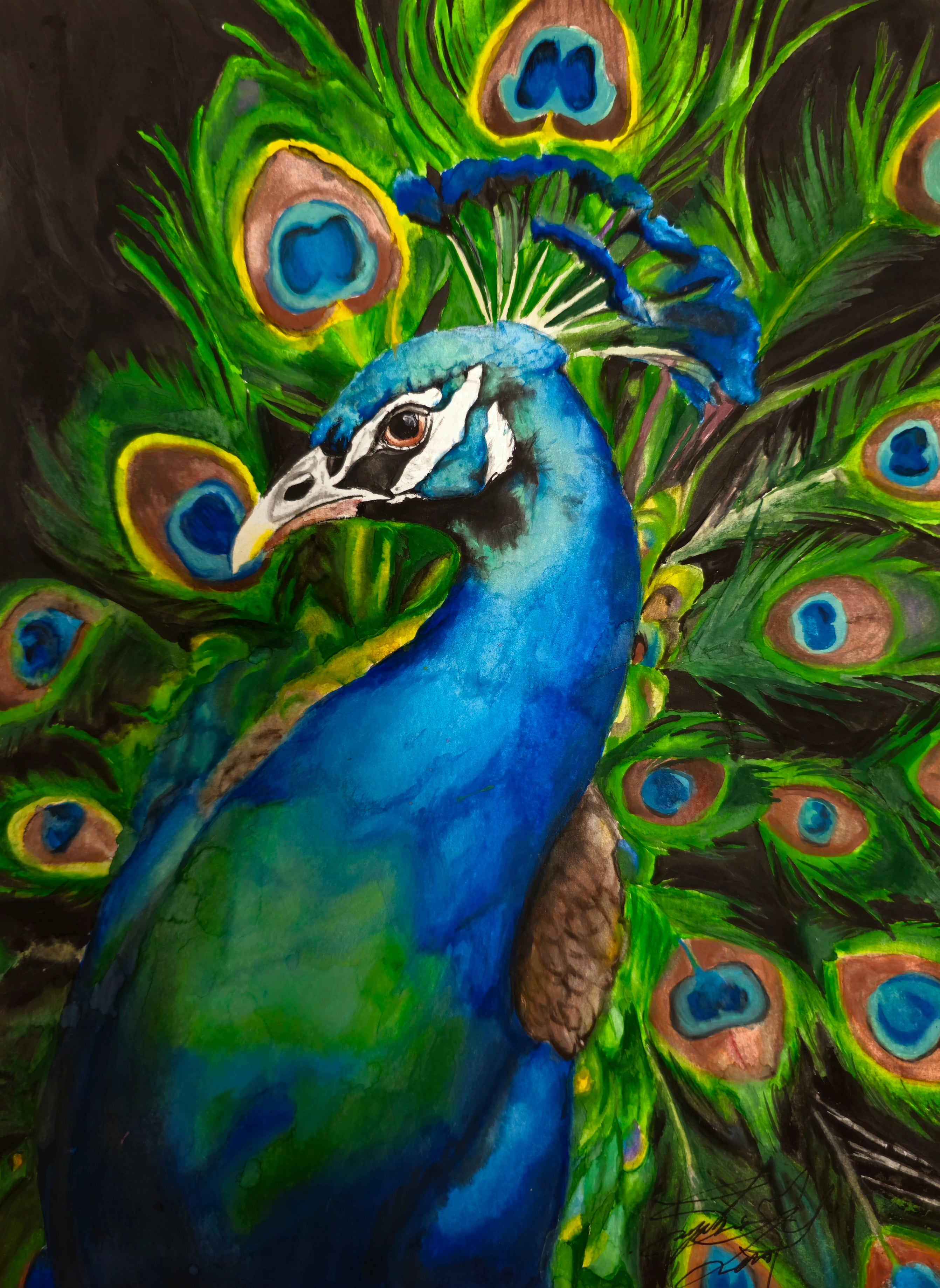 "The Spectacle"