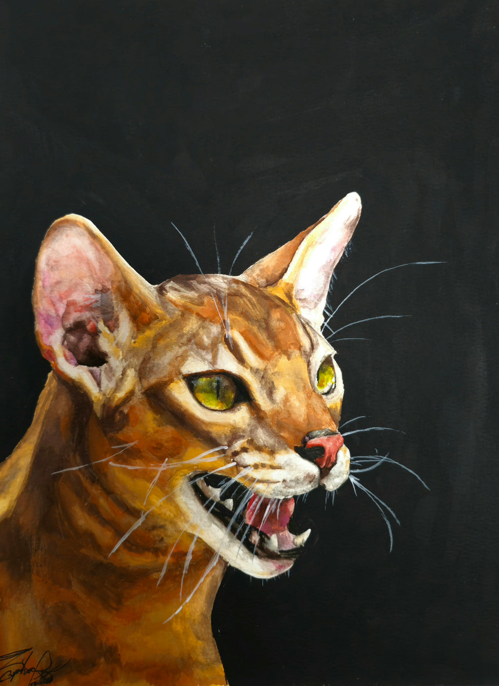 "Vixen"