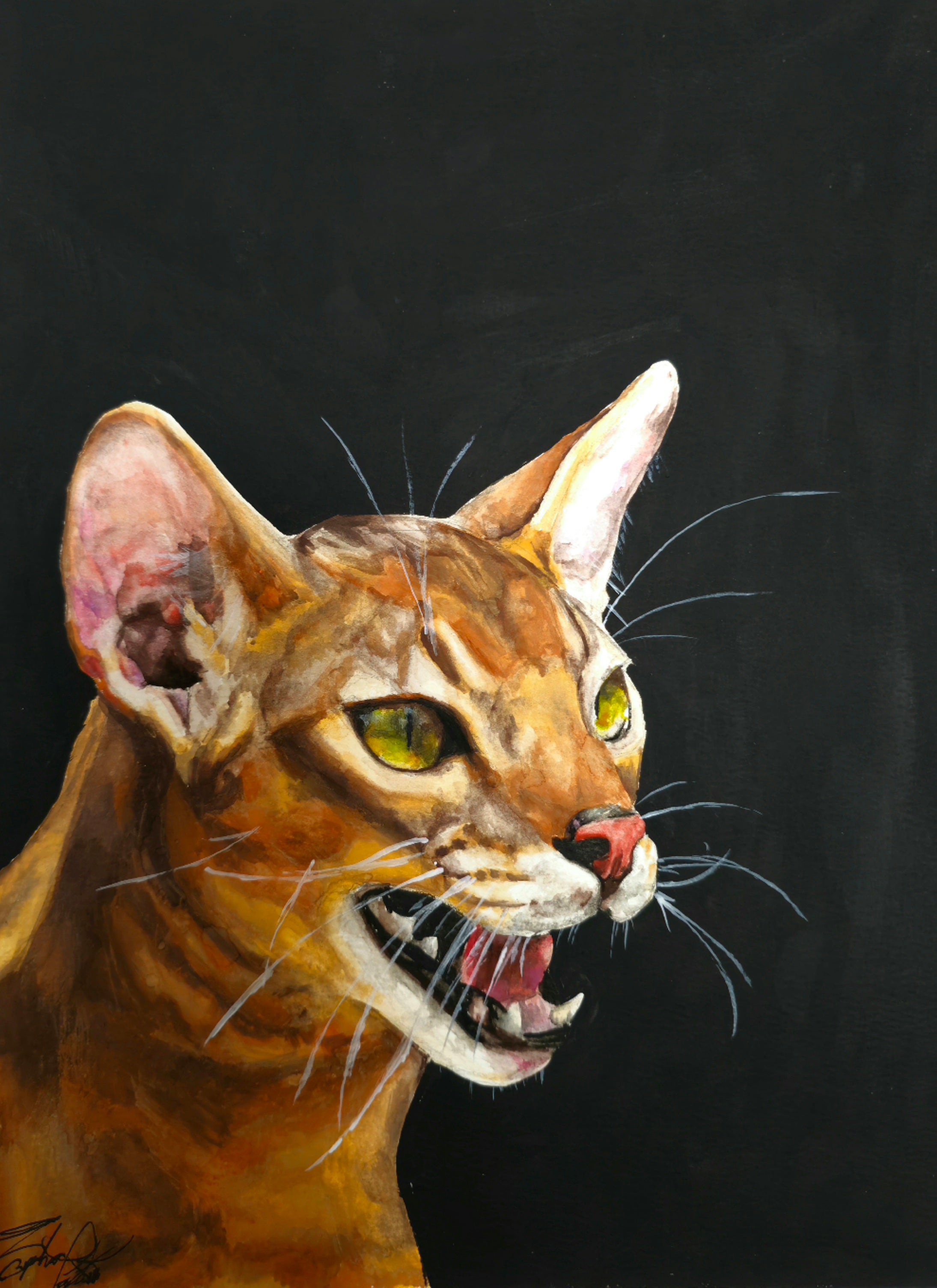 "Vixen"