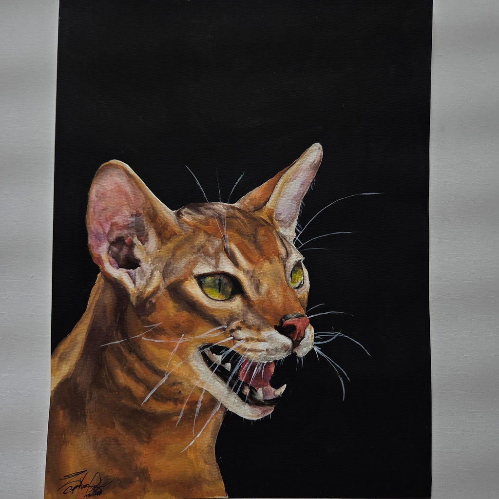 "Vixen"