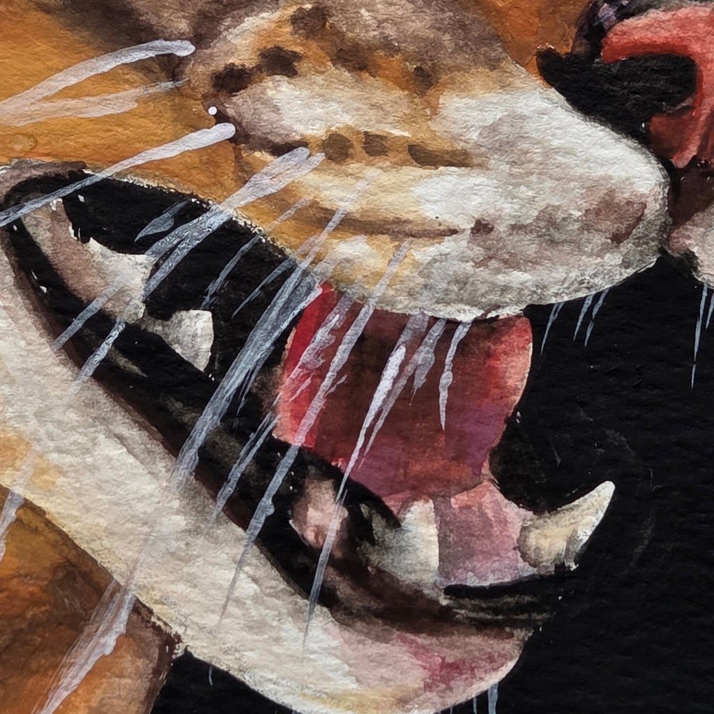 "Vixen"