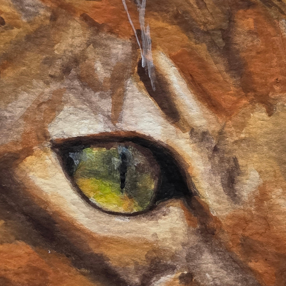 "Vixen"