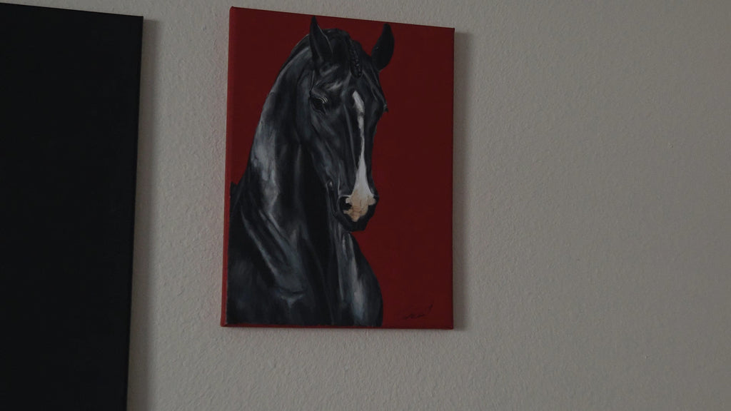 "Shadow's Peace" Canvas Print