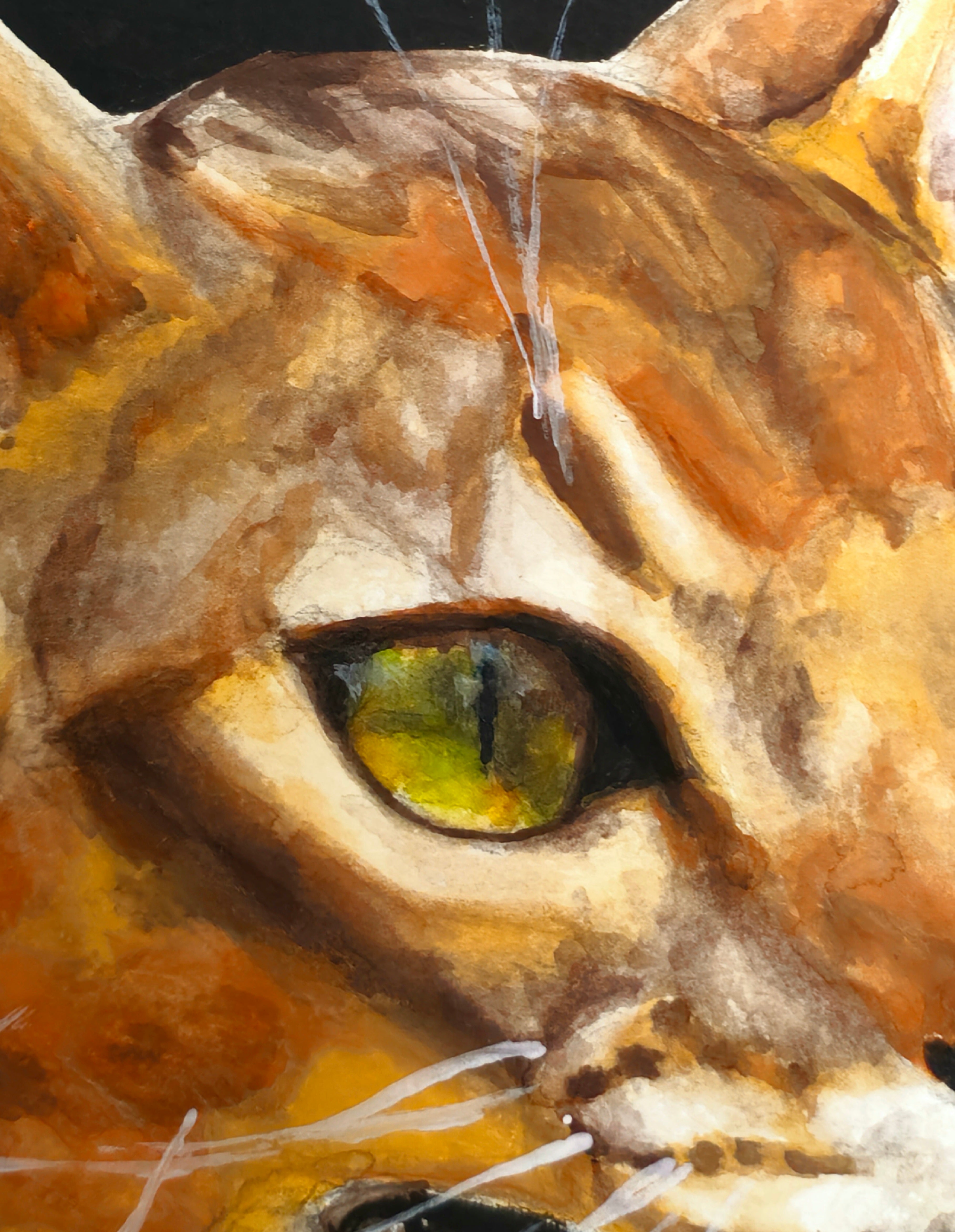 "Vixen"